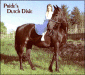 Pride's Dutch Dixie
